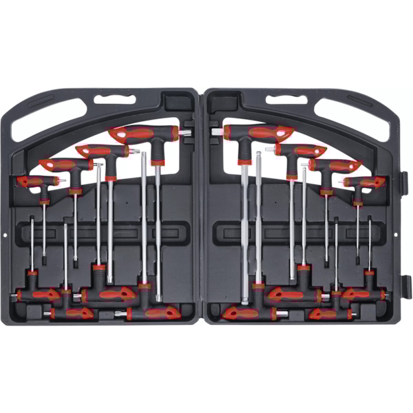 BGS TECHNIC Sleutelset T-greep
