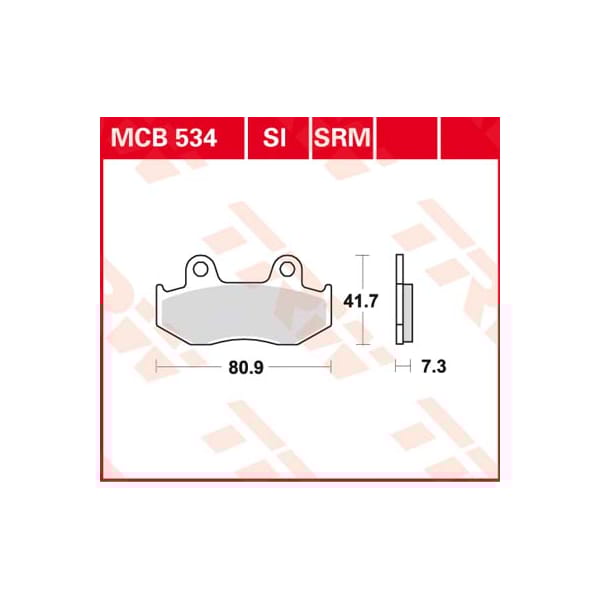 TRW Plaquettes de frein MCB534SRM Sinter maxi scooter