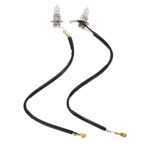 GIVI Ampoules de rechange pour trekker 55W