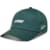Petjes en mutsen ALPINESTARS Explorer Strapback Hat Groen