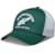 Petjes en mutsen ALPINESTARS Baron Trucker Hat Groen-Wit