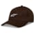 Petjes en mutsen ALPINESTARS Dylan Dad Hat Bruin