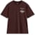 T-shirts en sweaters ALPINESTARS Post Oversized SS CSF Tee Bruin