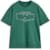 T-shirts en sweaters ALPINESTARS Infinity Oversized SS CSF Tee Groen