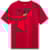 T-shirts and sweaters ALPINESTARS Elliptic SS CSF Tee Red