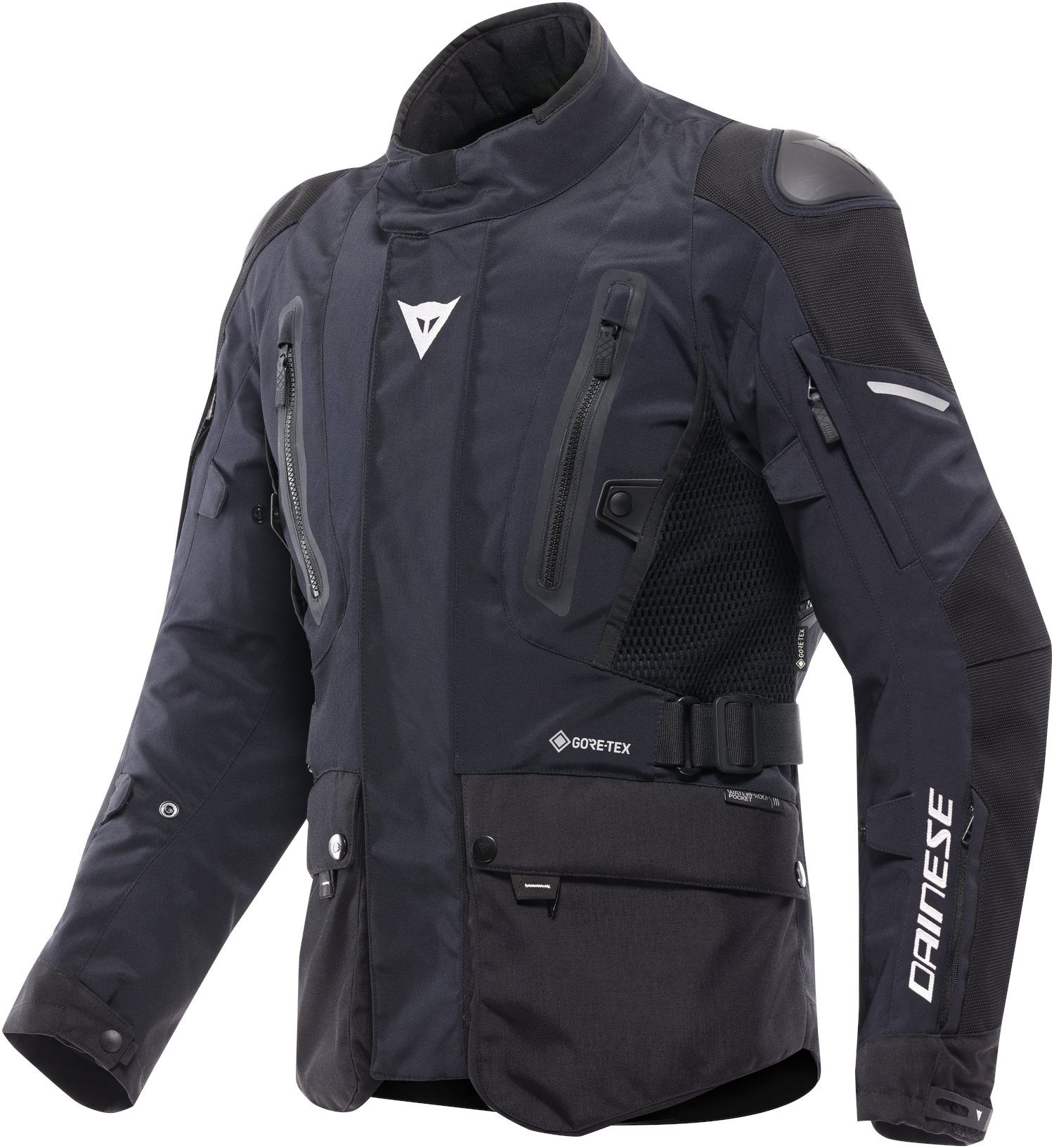Veste Gore-Tex® hommes DAINESE Carve Master 4 Gore-Tex Jacket Noir