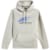 T-shirts et sweaters ALPINESTARS Pulse Hoodie Blanc Cassé